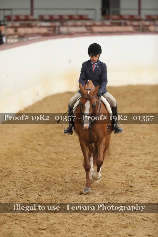 Proof Number 19R2_01357