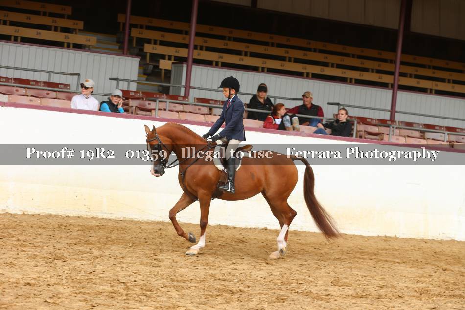 Proof Number 19R2_01359