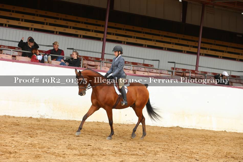 Proof Number 19R2_01375