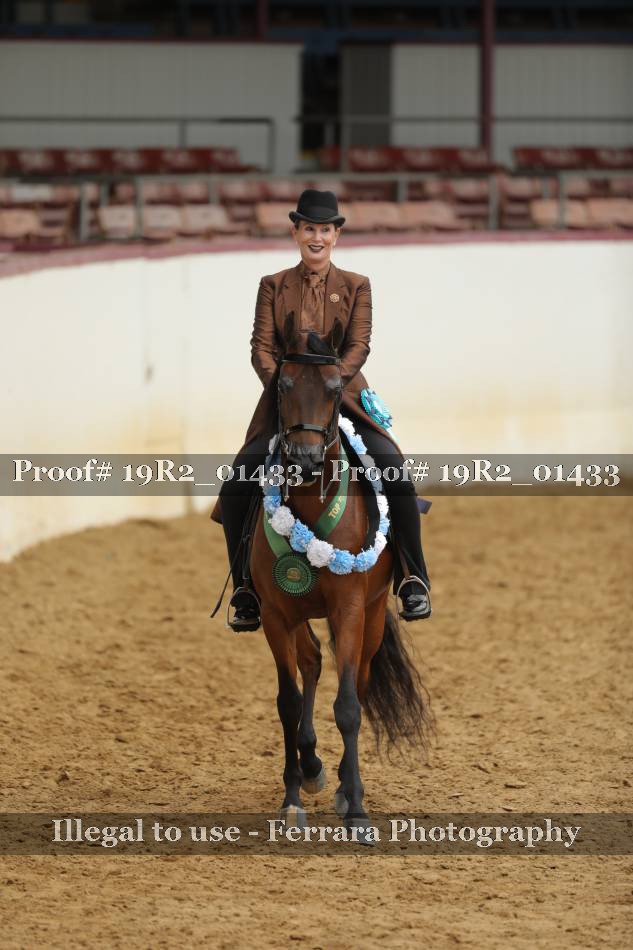 Proof Number 19R2_01433