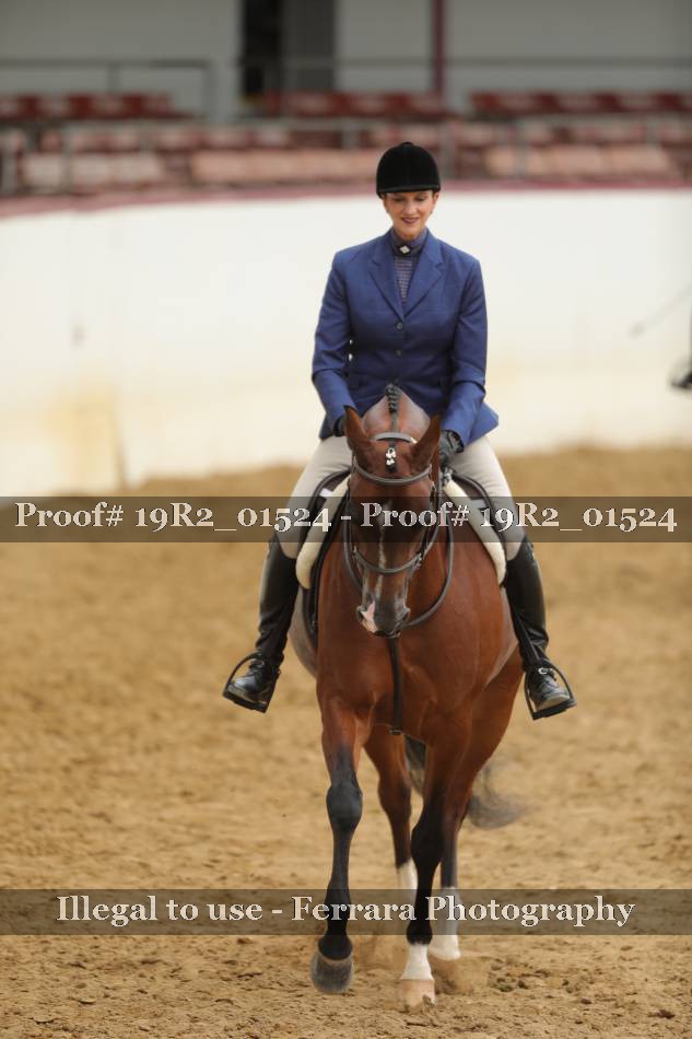 Proof Number 19R2_01524