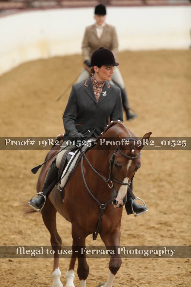 Proof Number 19R2_01525