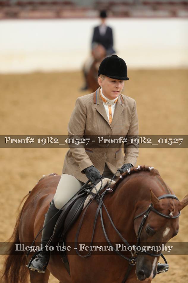 Proof Number 19R2_01527