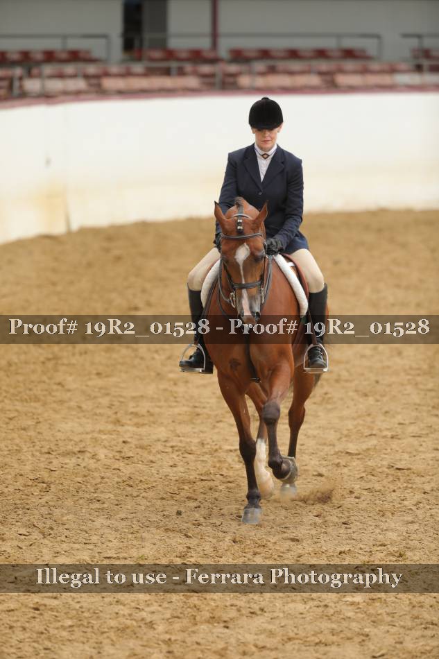 Proof Number 19R2_01528