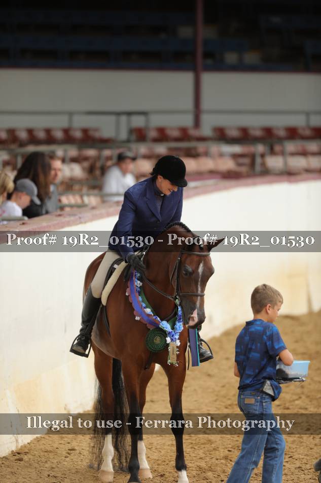 Proof Number 19R2_01530