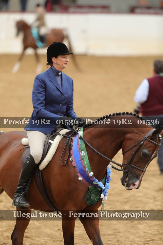 Proof Number 19R2_01536