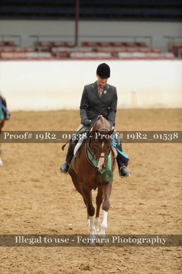 Proof Number 19R2_01538