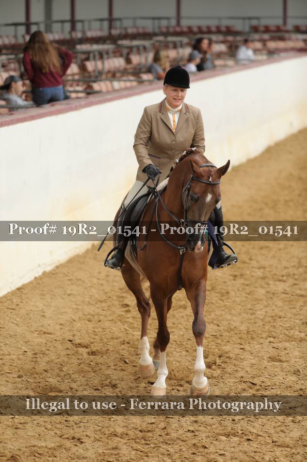 Proof Number 19R2_01541