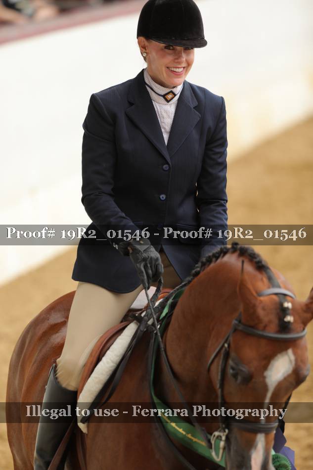 Proof Number 19R2_01546