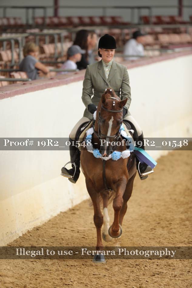Proof Number 19R2_01548