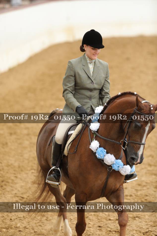 Proof Number 19R2_01550