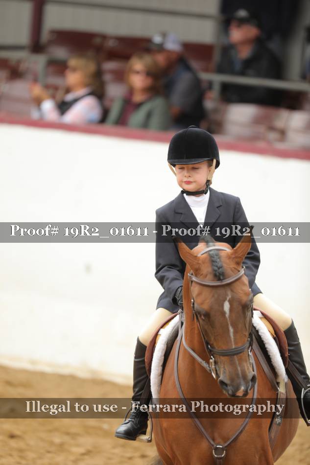 Proof Number 19R2_01611