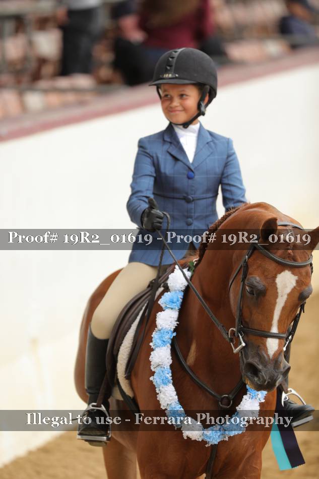 Proof Number 19R2_01619