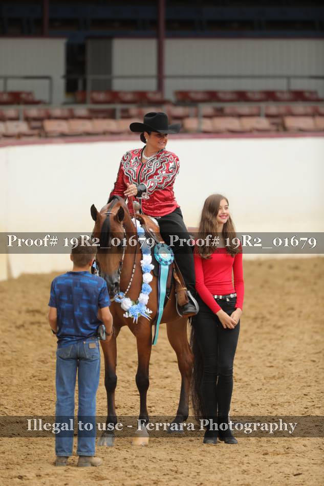 Proof Number 19R2_01679