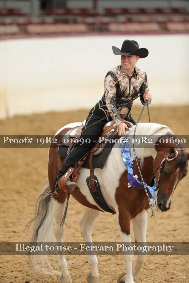 Proof Number 19R2_01690