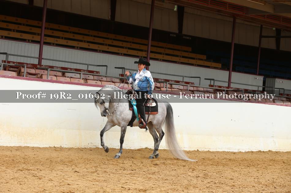 Proof Number 19R2_01692