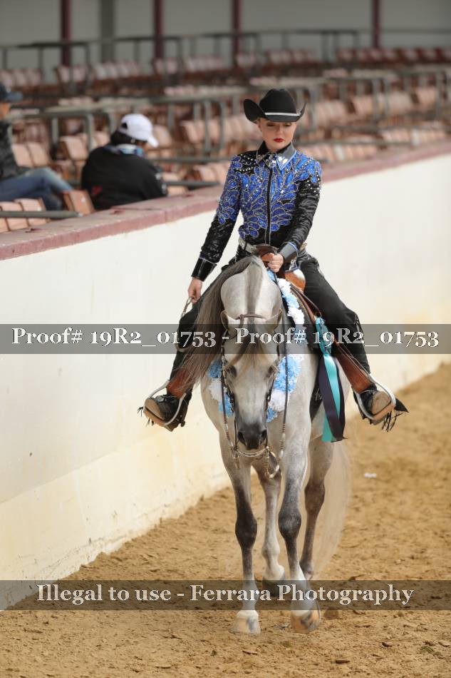 Proof Number 19R2_01753