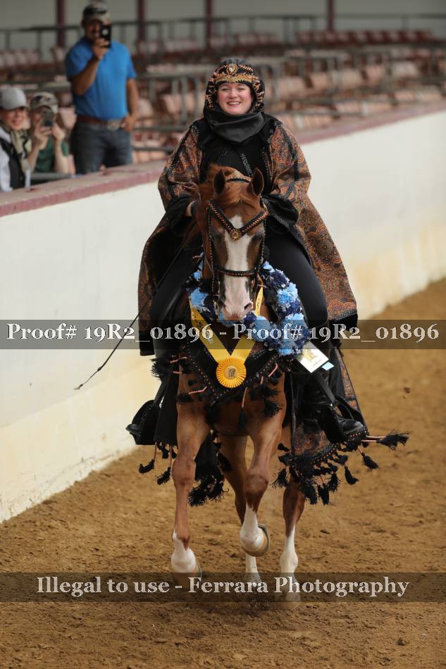 Proof Number 19R2_01896