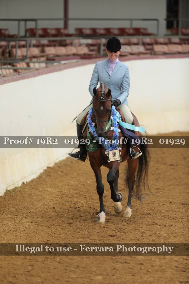 Proof Number 19R2_01929