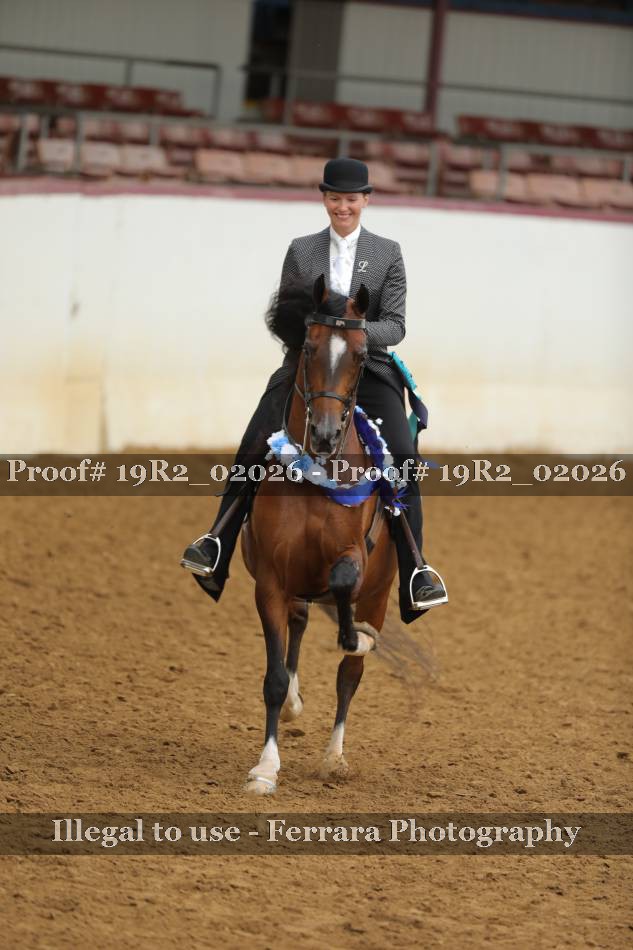 Proof Number 19R2_02026