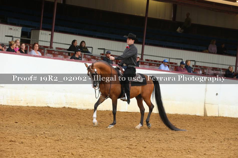 Proof Number 19R2_02062