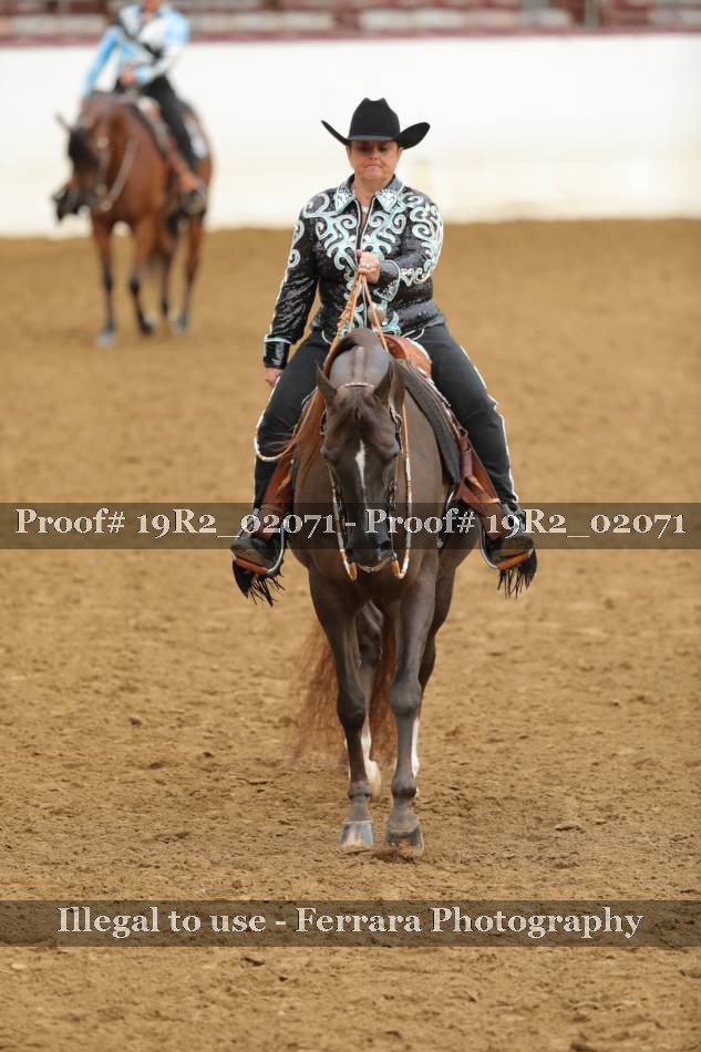 Proof Number 19R2_02071