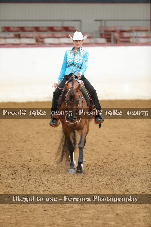 Proof Number 19R2_02075