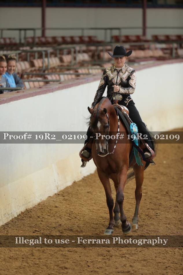Proof Number 19R2_02109