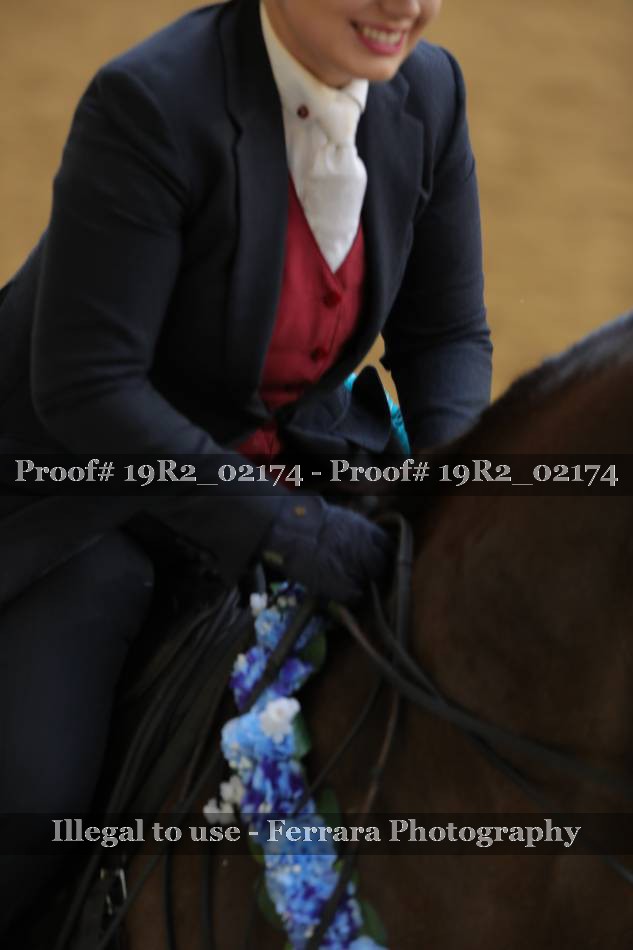 Proof Number 19R2_02174