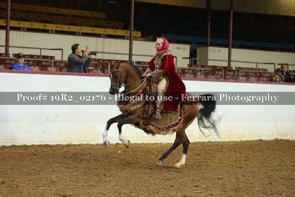 Proof Number 19R2_02176
