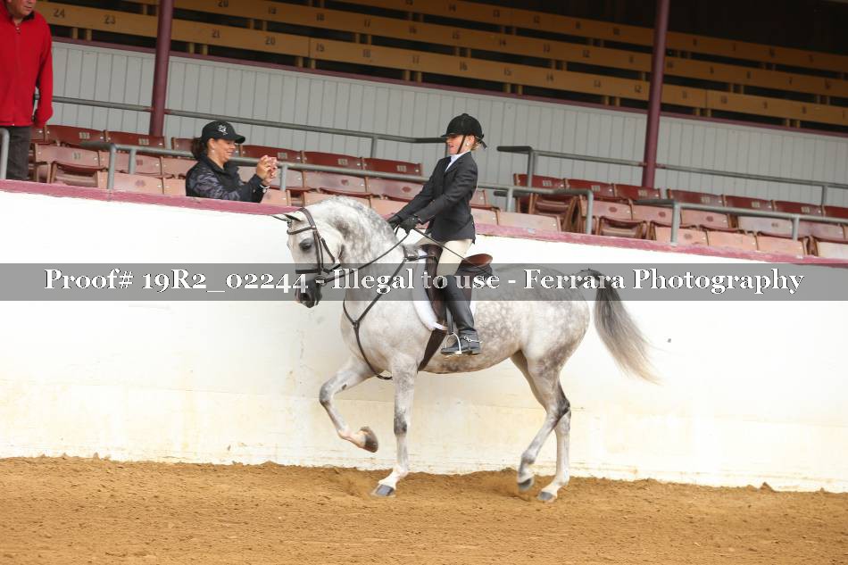 Proof Number 19R2_02244