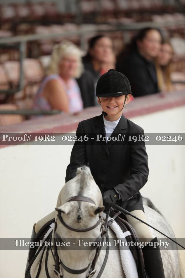 Proof Number 19R2_02246