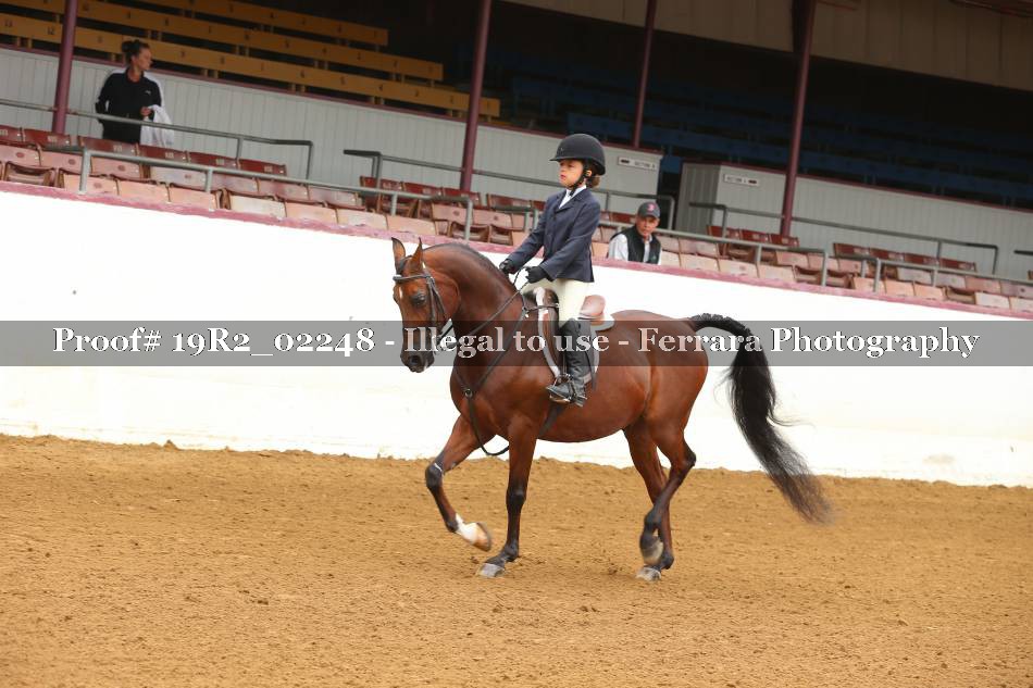 Proof Number 19R2_02248