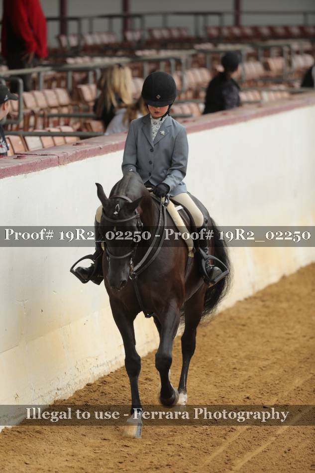 Proof Number 19R2_02250