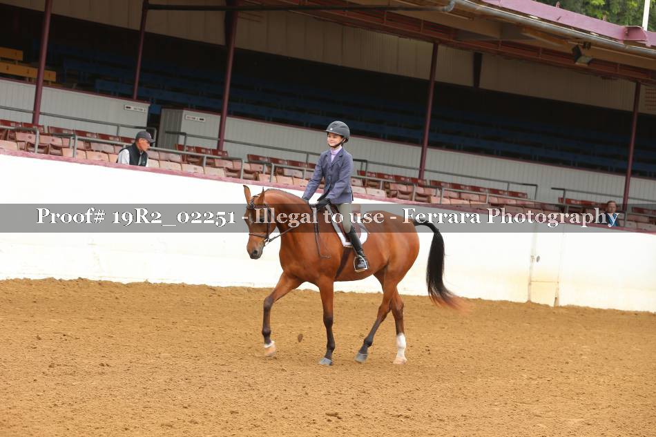 Proof Number 19R2_02251