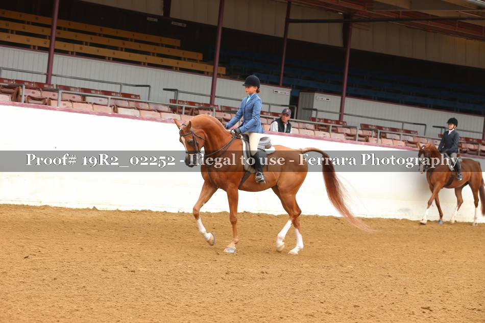 Proof Number 19R2_02252