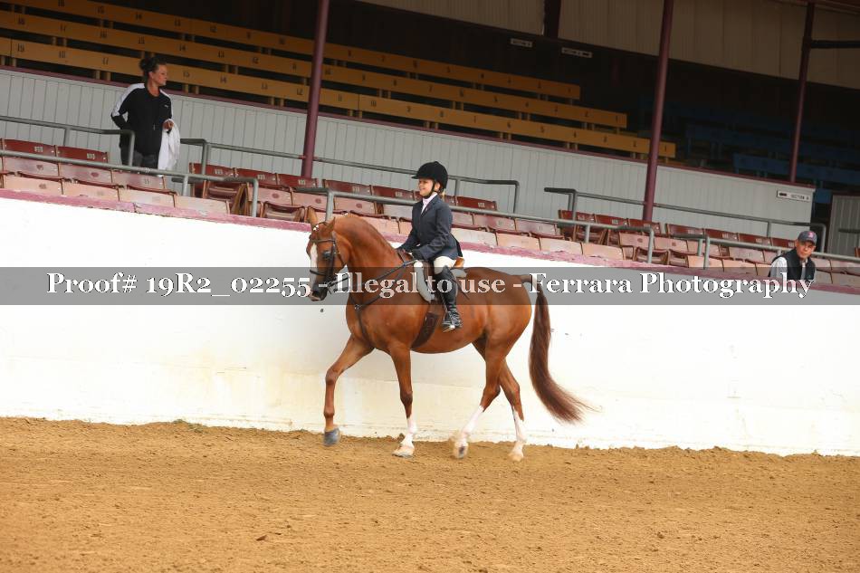 Proof Number 19R2_02255