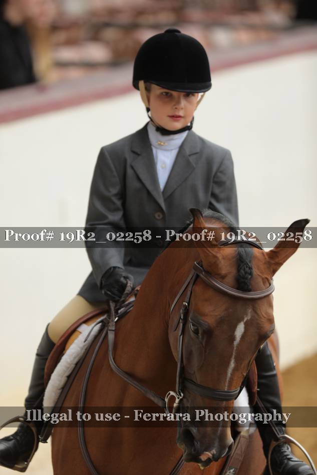 Proof Number 19R2_02258