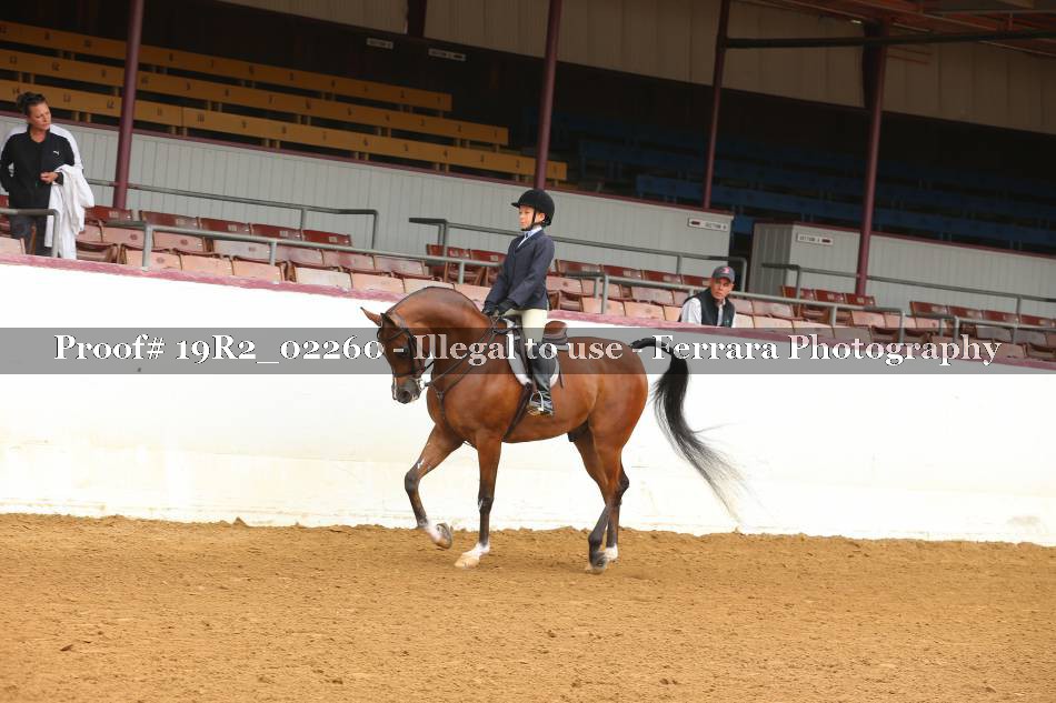 Proof Number 19R2_02260