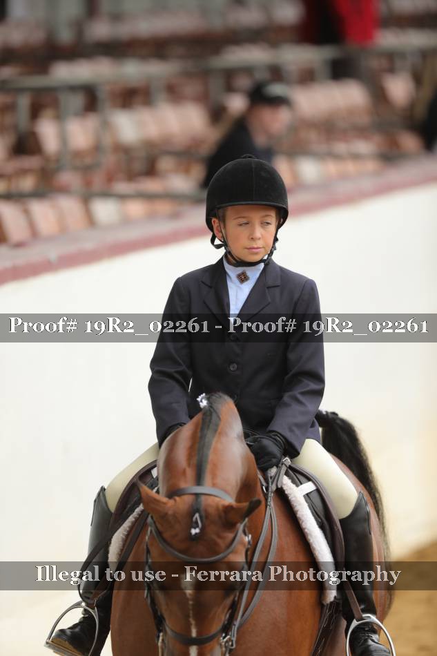 Proof Number 19R2_02261