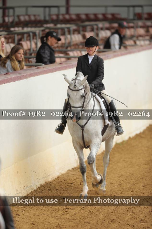 Proof Number 19R2_02264