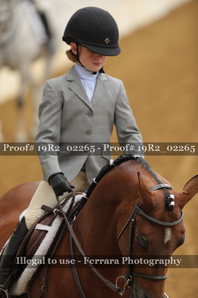 Proof Number 19R2_02265