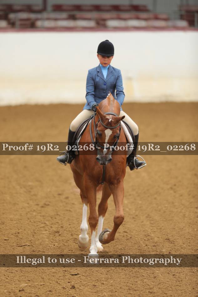 Proof Number 19R2_02268