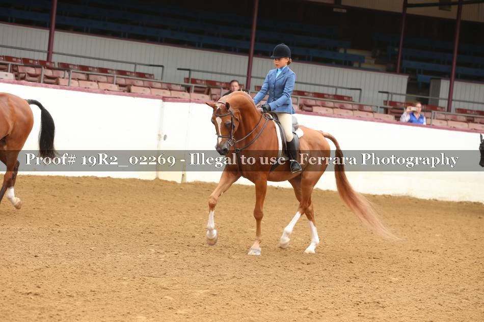 Proof Number 19R2_02269