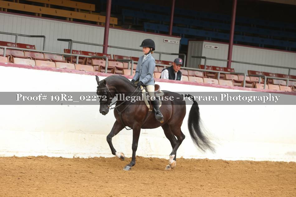Proof Number 19R2_02272