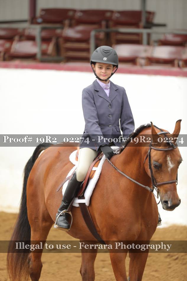 Proof Number 19R2_02274