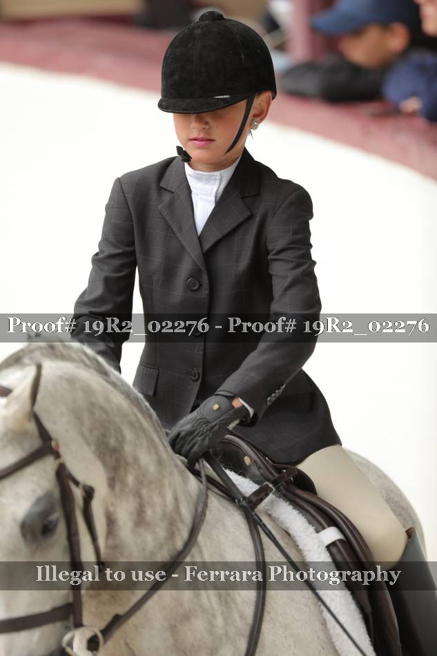 Proof Number 19R2_02276