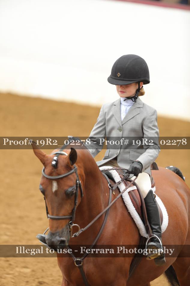 Proof Number 19R2_02278
