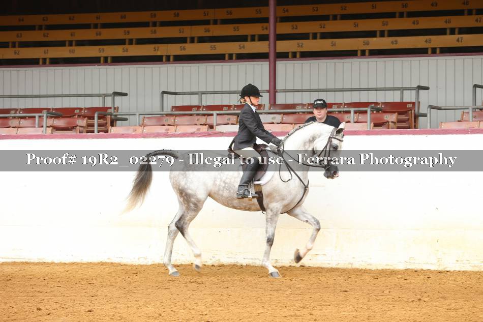 Proof Number 19R2_02279