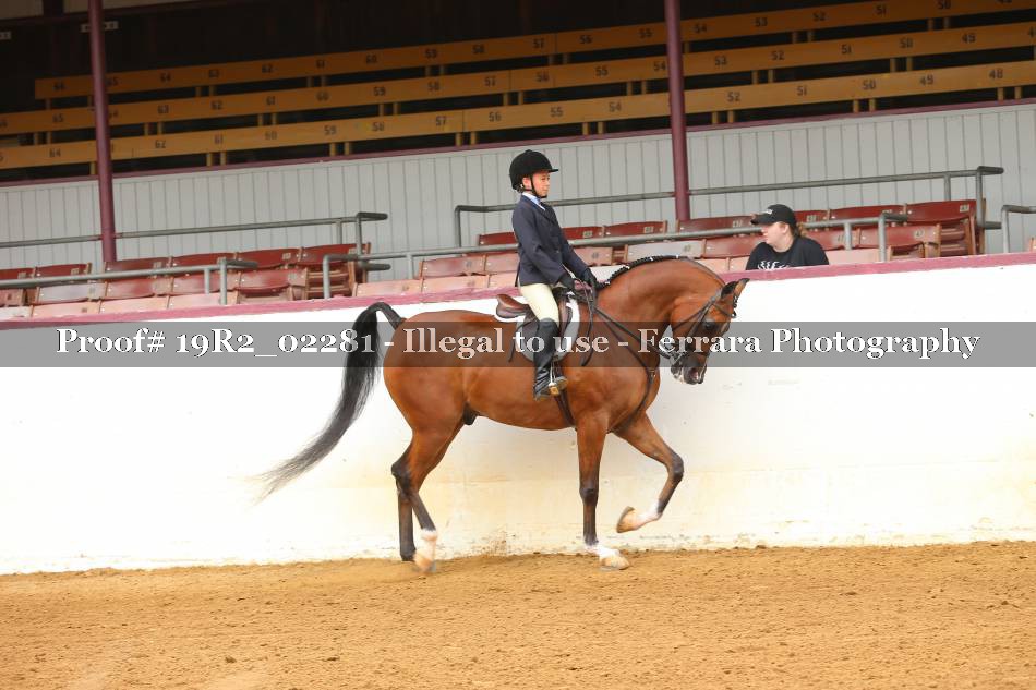 Proof Number 19R2_02281